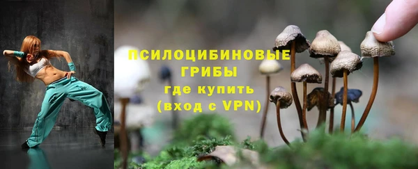 ешки Балахна