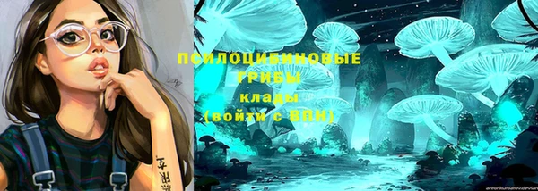 ешки Балахна