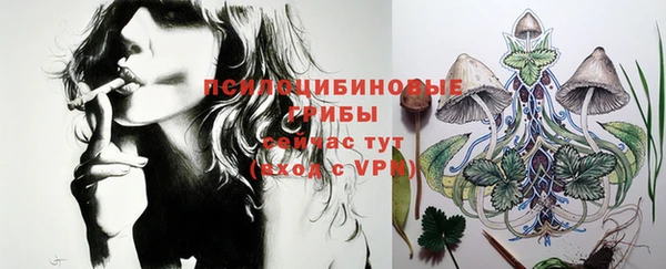 винт Баксан