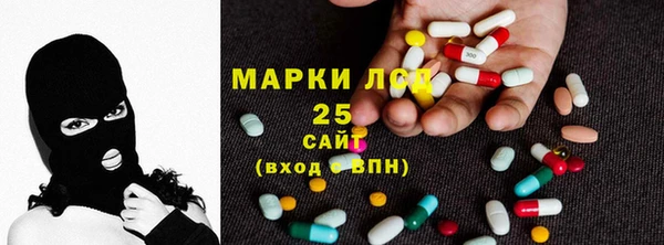 молекула духа Покров