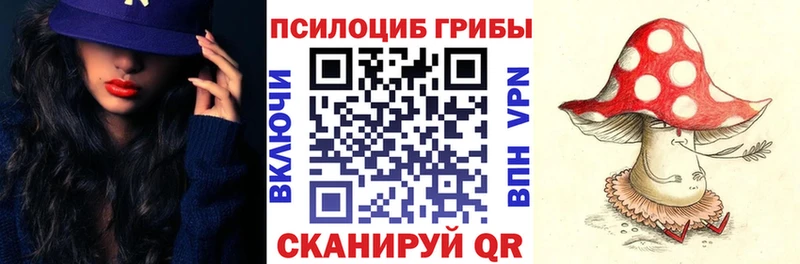 мега как зайти  Белинский  Галлюциногенные грибы Psilocybine cubensis 